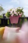 vibia campana flower bridge 40cm *poederroze